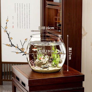 Bể Cá Nhựa Trong Suốt Bể Cá Tròn Size Lớn Chống Va Đập Trang Trí Phòng Khách, Văn Phòng Ngói House - BCN01
