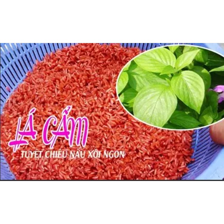 Hạt giống Hoa Trồng Chậu, mùa vụ quanh năm, nhiều màu sắc, nhiều kích thước - Hạt giống CANH NÔNG