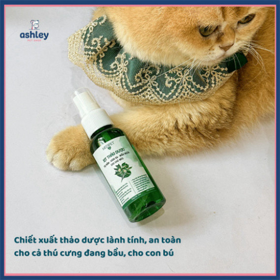 Sữa tắm thảo dược MEDIPET nấm, viêm da, mẩn ngứa cho chó mèo an toàn lành tính