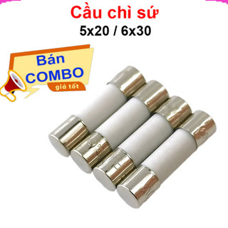 [Giá sỉ] (50C) Cầu chì sứ, cầu chì bảo vệ ngắn mạch 5x20mm, 6x30mm