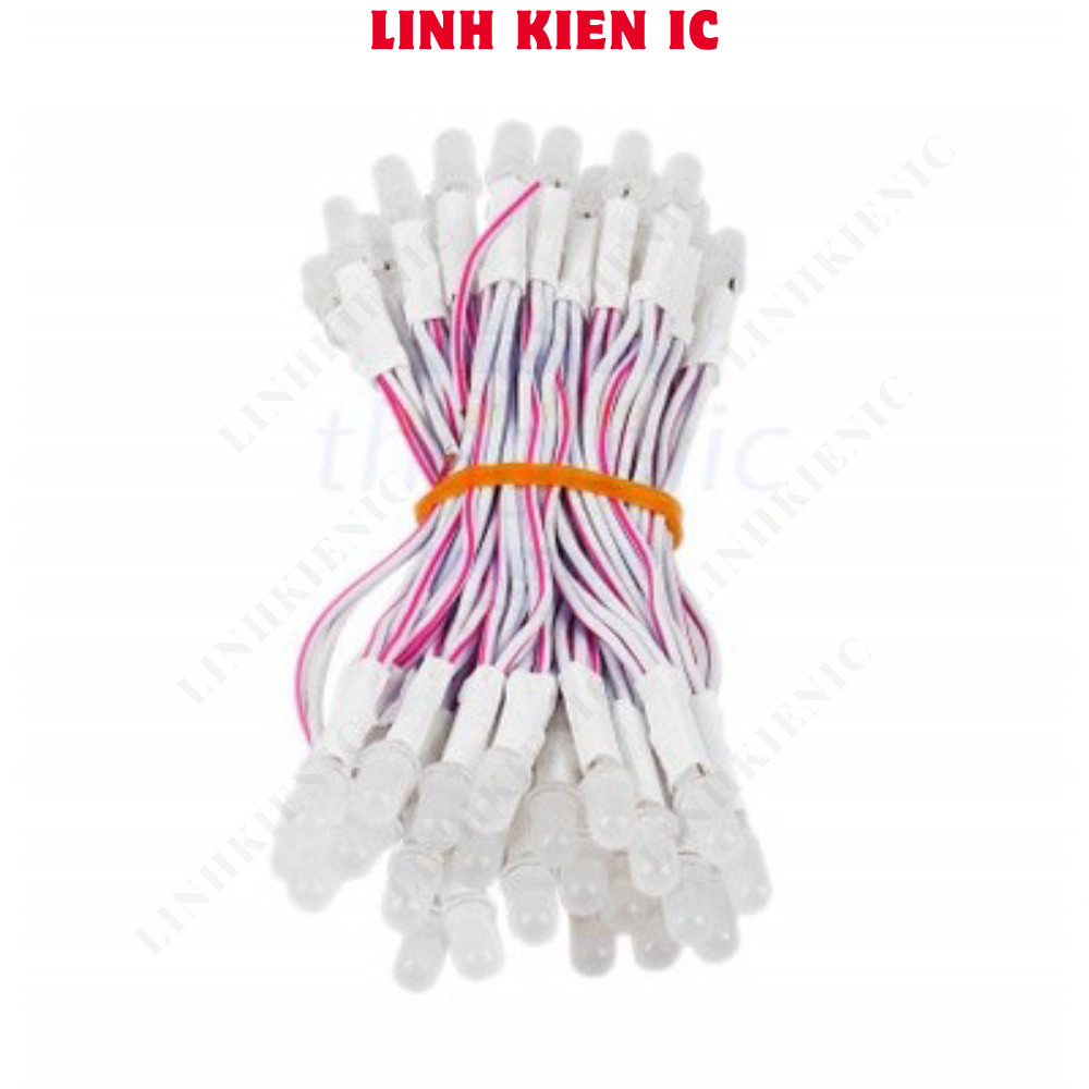 Led Ruồi Liền Dây 5mm 5V 0.02W Màu Trắng Linhkien IC | Shopee Việt Nam