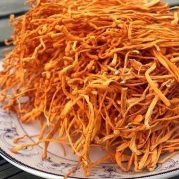 1kg Đông Trùng Hạ Thảo Sấy Nhiệt, Đông Trùng Hạ Thảo Sợi Vàng Đẹp