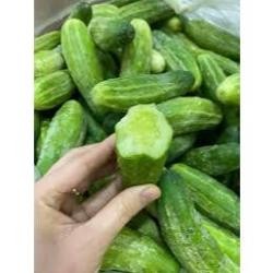 Hạt Giống Dưa Chuột Nếp Ta F1 – Vỏ Xanh Giòn Ngọt – Nảy Mầm Cao – Dễ Trồng Quanh Năm