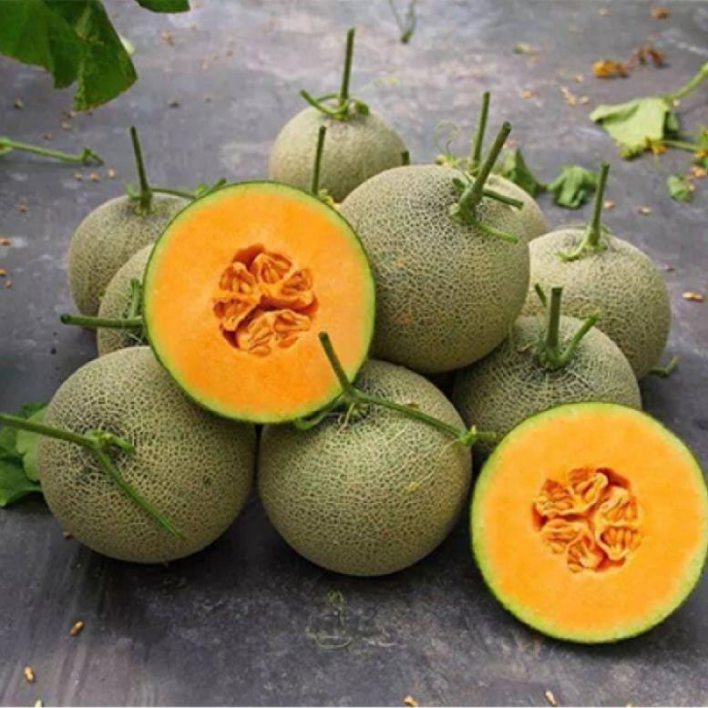 Đủ Loại Hạt Giống Rau Củ Quả – Dễ Trồng, Nảy Mầm Cao, Chất Lượng Chính Hãng
