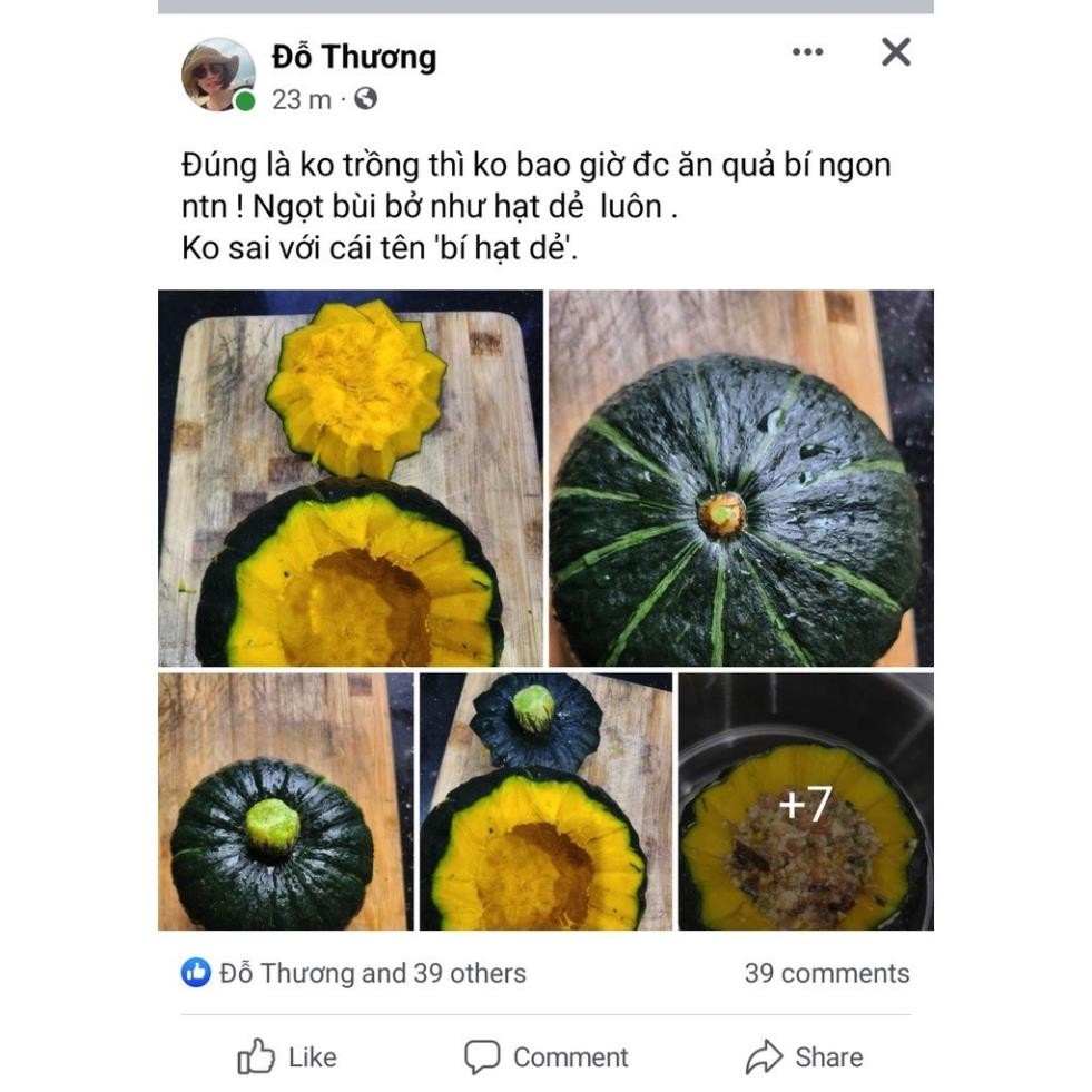 [Hạt Giống Nội Địa TQ] Hạt Giống Bí Bơ Hạt Dẻ – Ngọt Nhất Trong Các Loại Bí