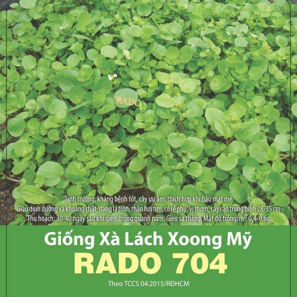 Nhiều Loại Hạt Giống Xà Lách – Giống F1 – Rau Salad Giòn Ngọt – Dễ Chăm Sóc