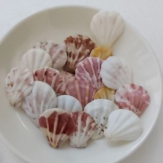 120g Vỏ sò điệp , vỏ ốc biển màu tự nhiên