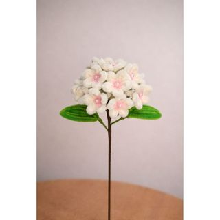 Một Bông hoa Cẩm Tú Cầu kẽm Nhung