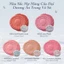 Phấn Má Hồng Flower Knows Shell 's Jewel mềm Mịn Lì Lên Chuẩn Màu Blush Powder 5g