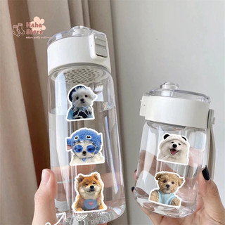 (Sẵn) Set 10-100 sticker hoạt hình cute, Labubu, Capybara Loopy Gấu dâu trang trí mũ bảo hiểm, laptop, bình nước, ốp đt