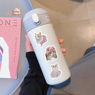 (Sẵn) Set 10-100 sticker hoạt hình cute, Labubu, Capybara Loopy Gấu dâu trang trí mũ bảo hiểm, laptop, bình nước, ốp đt