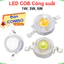 LED COB công suất 3V 1W, 3W, 5W 100-120Lm Luxeon siêu sáng