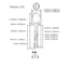 LED RGB 10mm trong suốt âm chung / dương chung