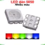 LED dán 5050 SMD
