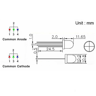 [Ưu đãi] (20 cái) LED RGB 10mm đục âm chung / dương chung