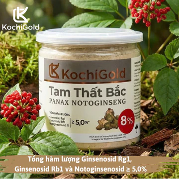 Tam Thất Bắc KochiGold [Dạng bột] - Hộp 200g