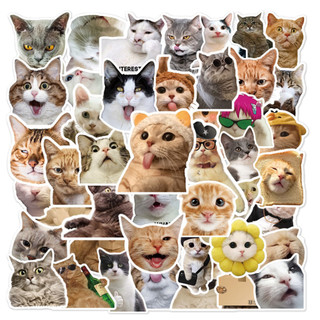 [Set 50 Cái] Sticker Meme Mèo nhiều họa tiết chống nước, dán trang trí laptop, mũ bảo hiểm, vali, xe ga