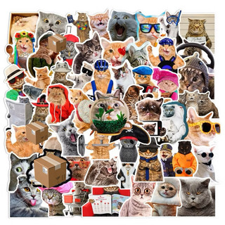 66 Sticker Meme Mèo nhiều họa tiết chống nước dán trang trí laptop, mũ bảo hiểm, vali, xe ga DB.220