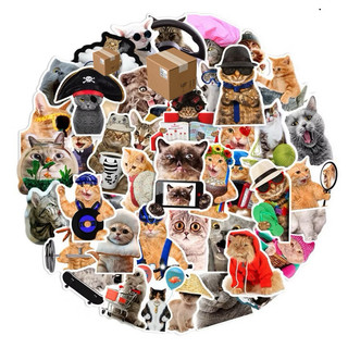 66 Sticker Meme Mèo nhiều họa tiết chống nước dán trang trí laptop, mũ bảo hiểm, vali, xe ga DB.220