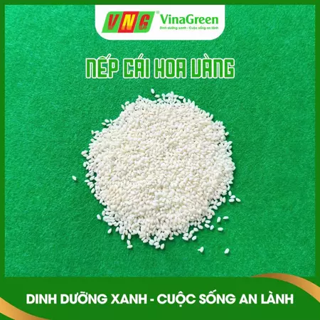 1KG / 3KG / 5KG NẾP BẮC - NẾP CÁI HOA VÀNG - LOẠI 1