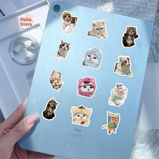 (Sẵn) Set 10-100 Sticker Mèo Con, Cún Con Cute, Set Decal Thú Cưng Trang Trí Sổ Tay, Điện Thoại, Mũ Bảo Hiểm Laptop