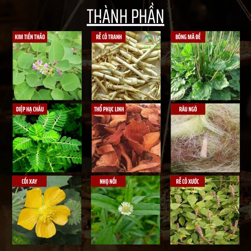 Trà Thải Độc Thận & Tiết Niệu & Tán sỏi - Đông Cát Đường - làm sạch thận, Giảm Tiểu Buốt, tiểu đêm, tiểu rắt, đau thắt