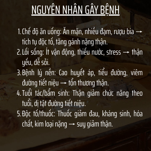 Trà Thải Độc Thận & Tiết Niệu & Tán sỏi - Đông Cát Đường - làm sạch thận, Giảm Tiểu Buốt, tiểu đêm, tiểu rắt, đau thắt