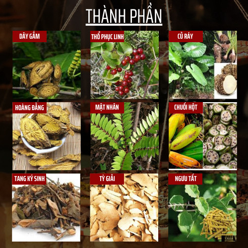 Viên Uống Tiêu Gout (Gút) - Đông Cát Đường - Rối Loạn Chuyển Hóa Acid Uric, viêm sưng ổ khớp - 500v