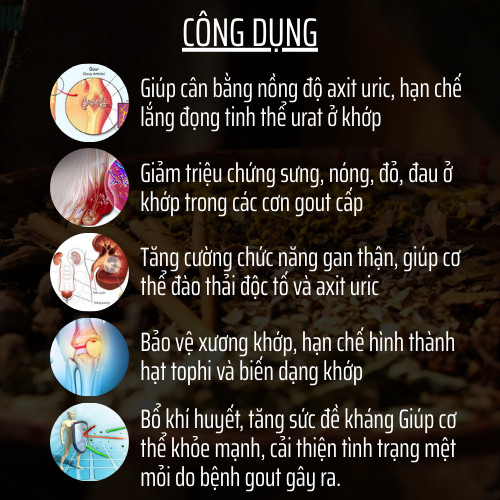 Viên Uống Tiêu Gout (Gút) - Đông Cát Đường - Rối Loạn Chuyển Hóa Acid Uric, viêm sưng ổ khớp - 500v
