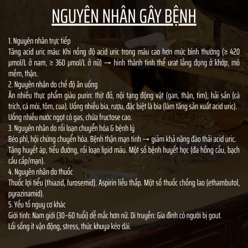 Viên Uống Tiêu Gout (Gút) - Đông Cát Đường - Rối Loạn Chuyển Hóa Acid Uric, viêm sưng ổ khớp - 500v