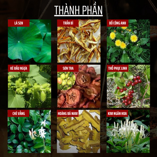 Trà Hạ Mỡ Máu -Đông Cát Đường - Hỗ Trợ Giảm Mỡ Máu, Choles.terol, Thanh Lọc Mạch Máu, Giúp Cơ Thể Nhẹ Nhàng - Túi 50 lọc