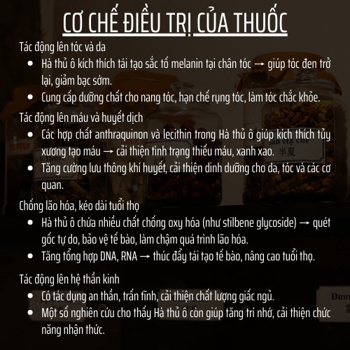 Viên Hà Thủ Ô - Bổ huyết, dưỡng huyết, đen tóc, nội tiết tố, bổ gan thận, xương khớp - Túi 500 viên