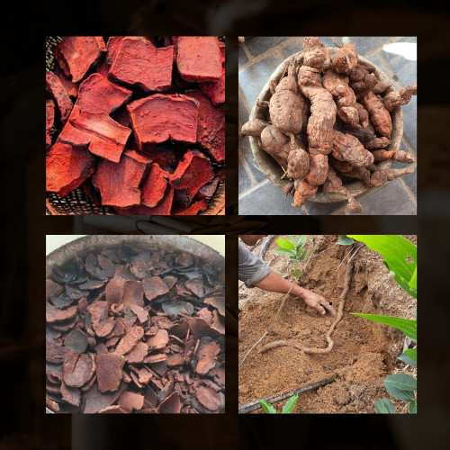 Viên Hà Thủ Ô - Bổ huyết, dưỡng huyết, đen tóc, nội tiết tố, bổ gan thận, xương khớp - Túi 500 viên