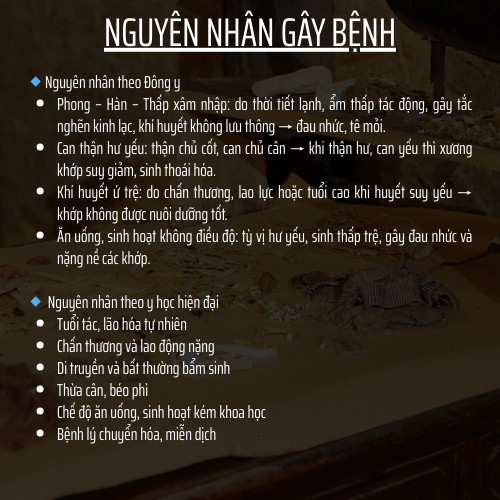 Viên Xương Khớp - Thoái hóa, viêm khớp, co cứng cơ, đau thần kinh tọa, gout, sưng đau - Túi 500 viên