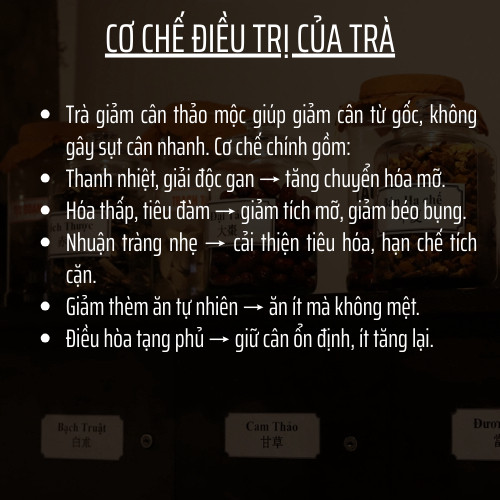 Trà Tiêu mỡ - Đông Cát Đường - Detox thải mỡ bụng, đùi giúp nhẹ người, thải đốt mỡ - Túi 50 lọc