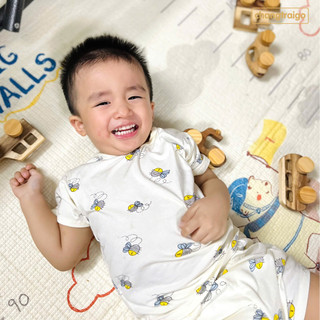 Bộ phương tiện BABY CAR, kèm hộp gỗ, combo đồ chơi Montessori, quà tặng sinh nhật Chàng Trai Gỗ