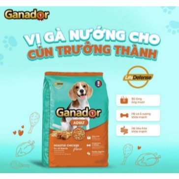 [Bao xá 10kg] - Thức ăn hạt cho chó Ganador