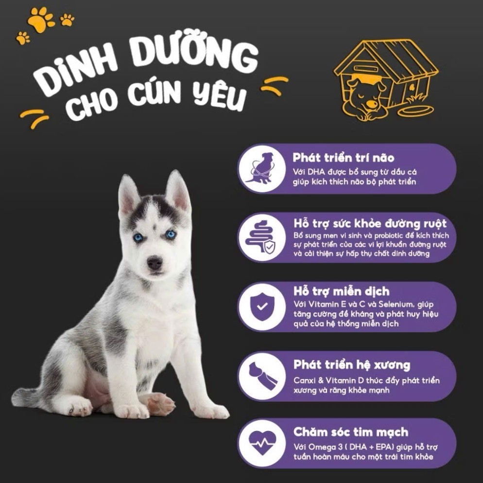 [Bao xá 10kg] - Thức ăn hạt cho chó Ganador