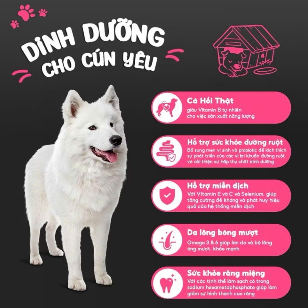 [Bao xá 10kg] - Thức ăn hạt cho chó Ganador