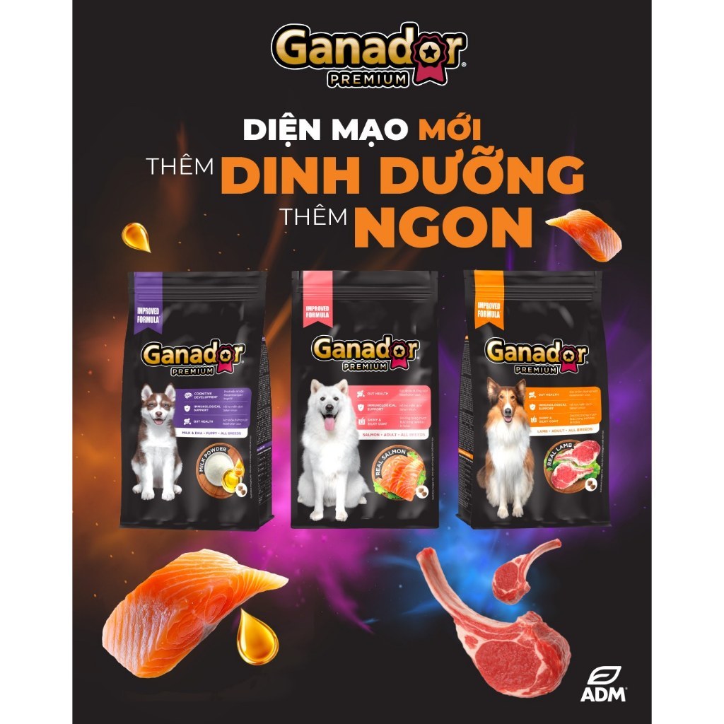 [Bao xá 10kg] - Thức ăn hạt cho chó Ganador
