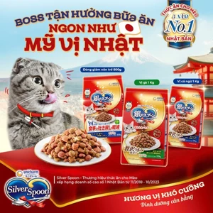 Hạt Silver Spoon cho mèo mọi lứa tuổi 1kg, chống nôn trớ 800g