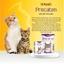 Sữa Bột Cho Mèo Precaten Cho Mèo Con Sơ Sinh, Mèo Mang Thai, Thiếu Chất Dinh Dưỡng DrKyan