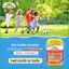 Viên Nhai Bổ Sung Sắt Hữu Cơ Và Vitamin C Cho Bé Nature’s Way Vita Gummies Iron + Vitamin C - Hộp 60v