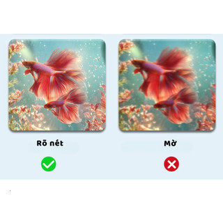 Bể Cá Nhựa Trong Suốt Bể Cá Chữ Nhật Size Lớn Chống Rơi Vỡ Trang Trí Phòng Khách, Văn Phòng Ngói - BCN03