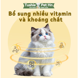 Súp Thưởng Cho Mèo, Thanh Pate Bổ Dưỡng Cho Mèo, Thức ăn đủ vị dinh dưỡng  hương vị đậm đà, Cat Food-15g