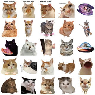 Set 10/20/50 cái sticker chống nước MÈO UIA MÈO MEME NGẠC NHIÊN KHÓC HỀ CHÚA DỄ THƯƠNG HÀI HƯỚC dán mũ bảo hiểm laptop