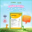 Tăm bông thân giấy Dr.Papie đầu bông 100% cotton mềm mại, an toàn, thân thiện với môi trường