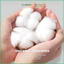 Tăm bông thân giấy Dr.Papie đầu bông 100% cotton mềm mại, an toàn, thân thiện với môi trường