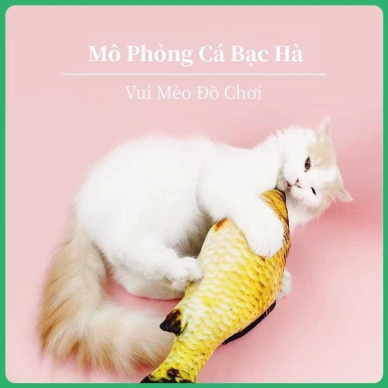 Cá Nhồi Canip Giúp Mèo Thư Giãn, Làm Sạch Răng