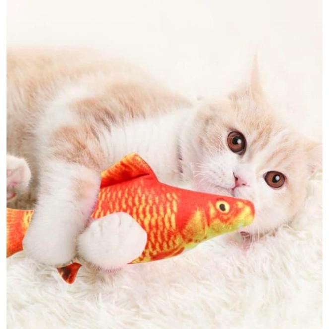 Cá Nhồi Canip Giúp Mèo Thư Giãn, Làm Sạch Răng